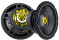 Boxe Auto Coustic CX10-04