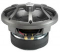 DLS Iridium 10