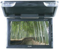 VALOR RM-1520W Monitor plafon 15.2